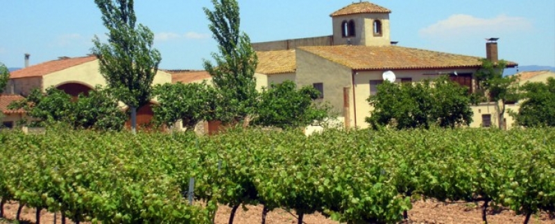 Cata de Vino en Bodega Mas Foraster y visita al Museo para 2 personas