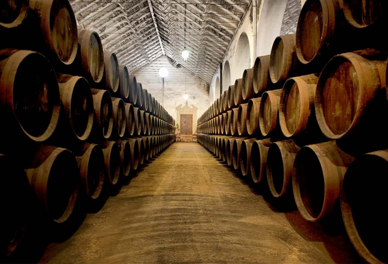 Cata de Vino en Bodegas Peréz Barquero para 2 personas
