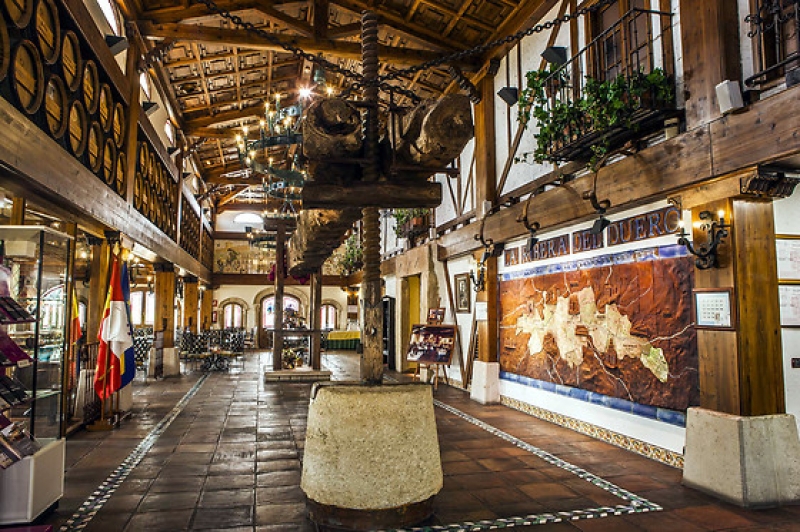 Visita a Bodega + Alojamiento en Hotel Tudanca Aranda 4* para 2