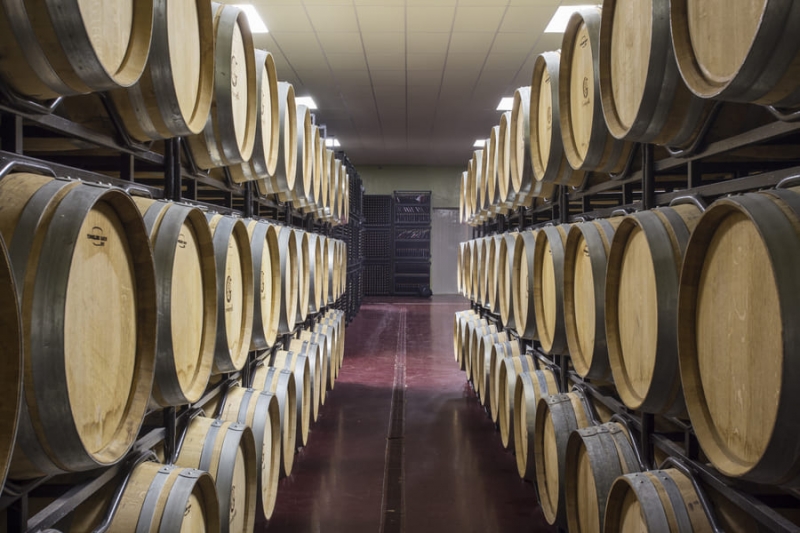Enoturismo en Bodegas Gordonzello para 2 personas