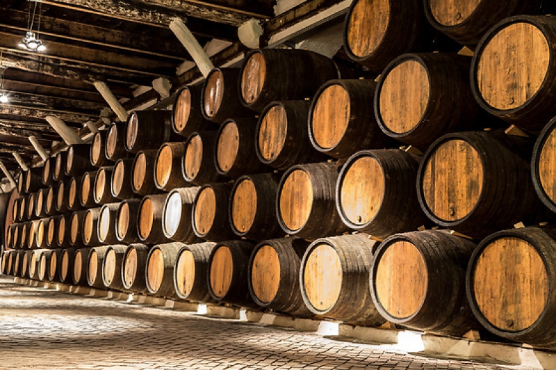 Cata de Vino en Vins Grau para 2