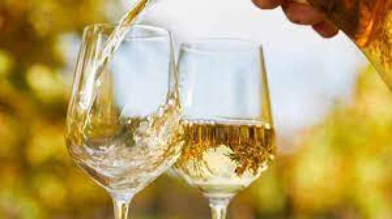 Curso de Iniciación a los Vinos Blancos Españoles