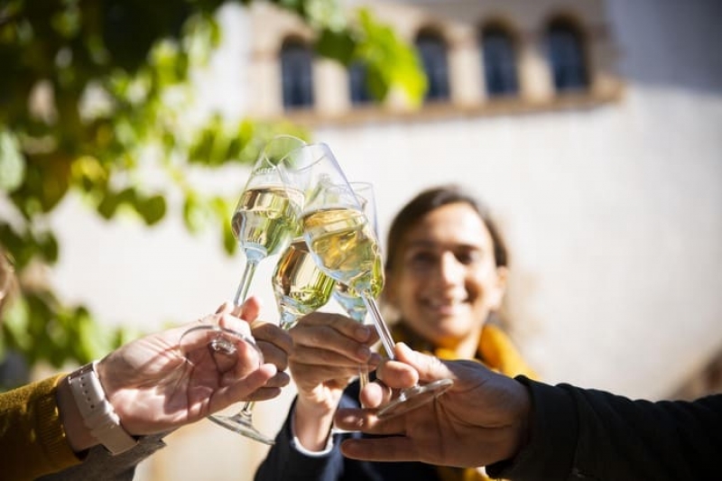 Cata de Vino en Bodega Bohigas para 2 personas