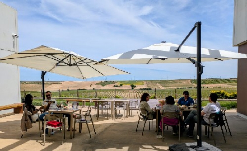 PIKNIC TERRACE (RAMÓN BILBAO RUEDA)