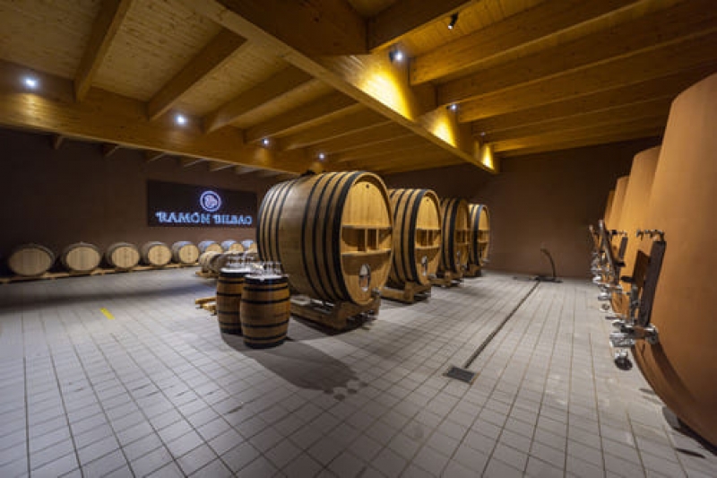 EXPLORADORES DE LA CURIOSIDAD (RAMÓN BILBAO RUEDA)