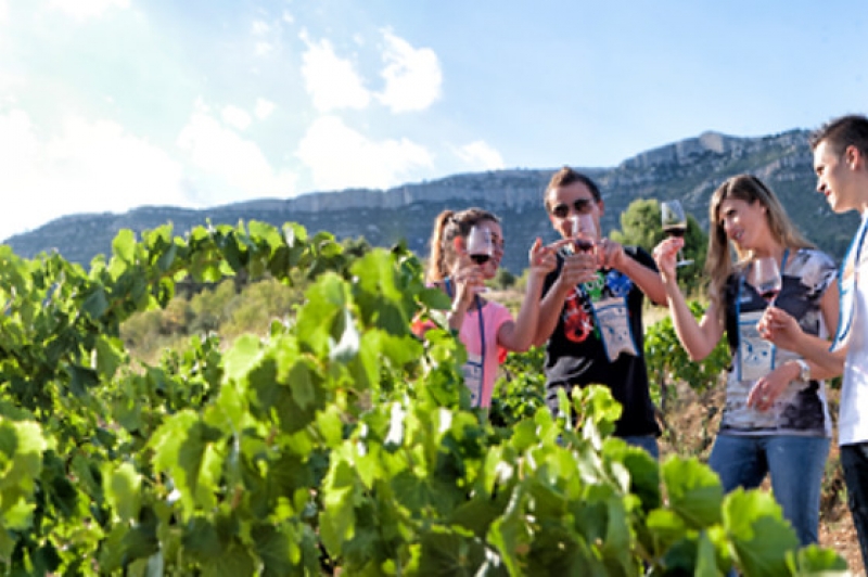 Visita a Cellers Baronia del Montsant en Cornudella de Montsant para 1 persona