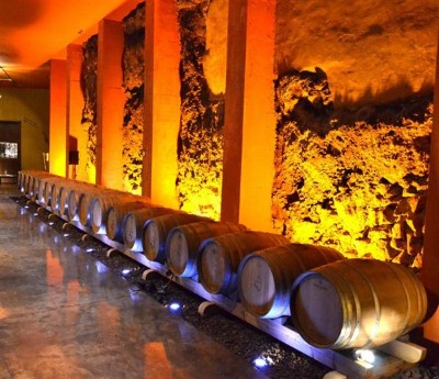 Visita + Degustación