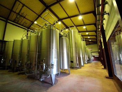 Visita a la Bodega y Cata comentada