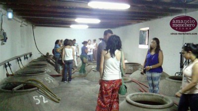 Visita + degustación 3 vinos + aperitivos en Bodega Amancio Menchero