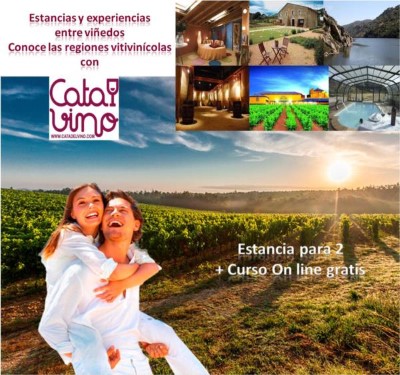 Cata de Vino + Alojamiento en Hotel Rural Pago de Trascasas para 2