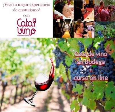 Cata de Vino en Bodega Alvear para 2