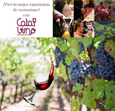 Cata de Vino en Bodegas San Isidro para 2