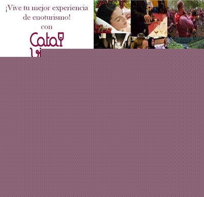 Cata de Vino en Rotllan Torra para 2