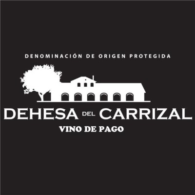 Tour de bodega + Almuerzo frente al viñedo y barricas.