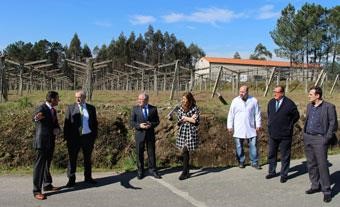 Cata de vino en Adega Valdés para 2