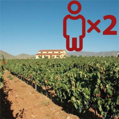 Enoturismo en Bodega Sillero para 2 personas