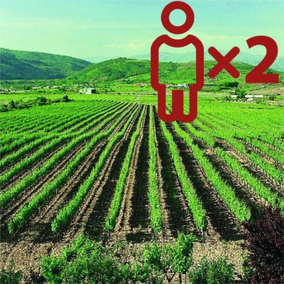 Enoturismo en Bodegas Adriá para 2