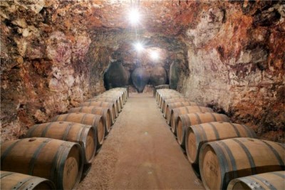 Enoturismo en Bodegas Peral para 2 personas.