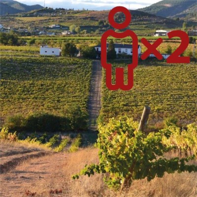 Enoturismo en Bodegas Pérez Caramés para 2 personas