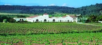Enoturismo en  Cavas Nadal para 2