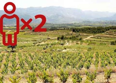 Entre viñedos - Enoturismo Celler Piñol para 2