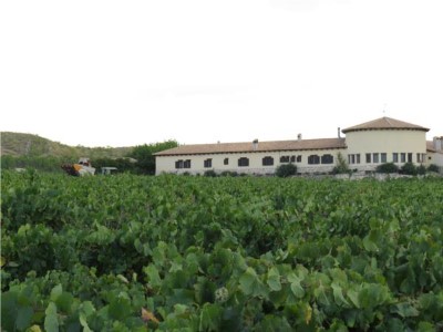 Cata de vino Mainetes