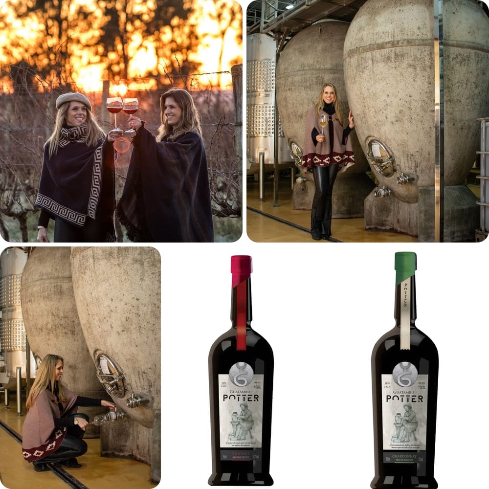 Los exclusivos vinos en ánforas de cemento de la bodega Guatambu.