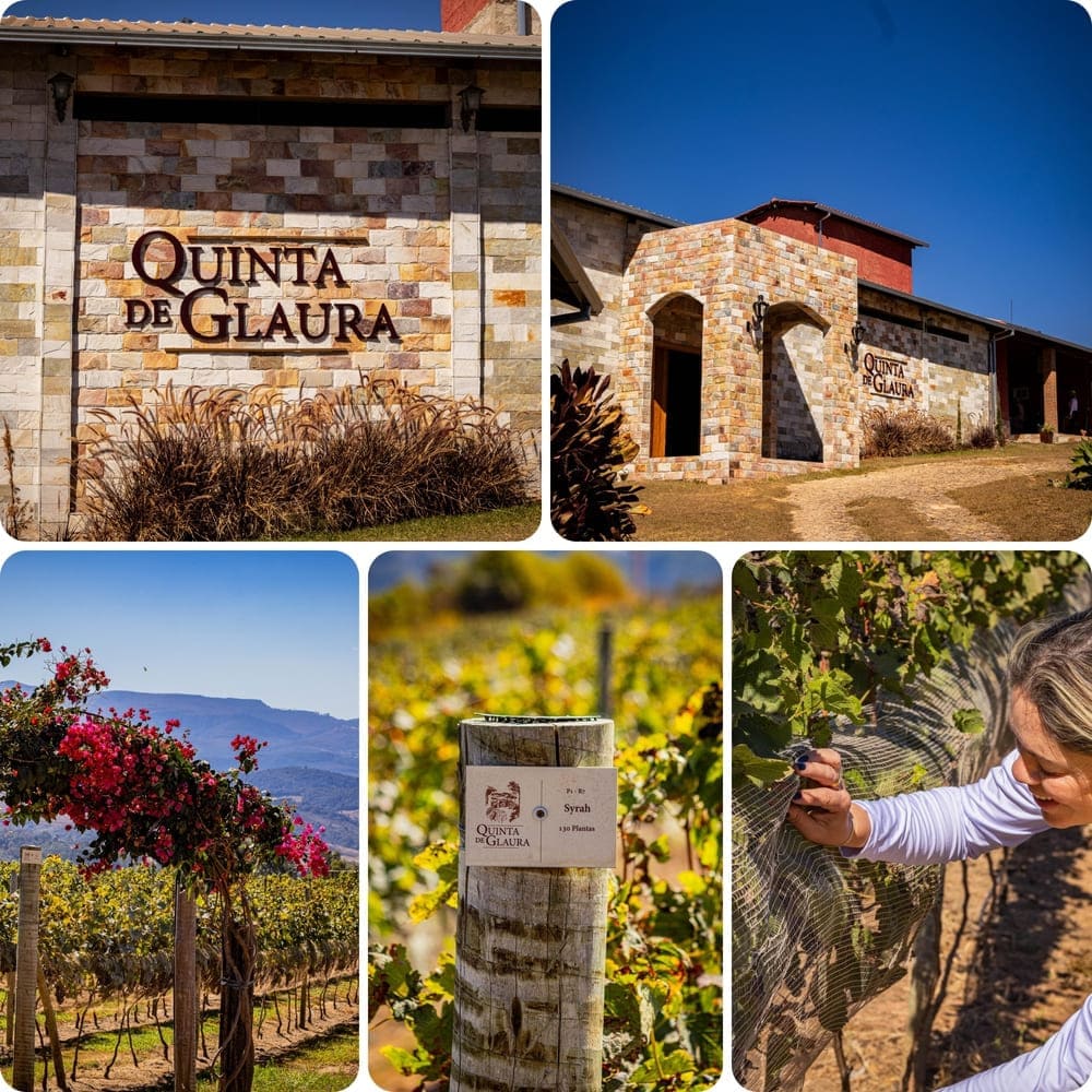 Los vinos primigenios de la Quinta de Glaura en Ouro Preto, Brasil.