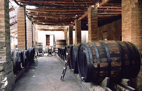 ¿Sabes cómo se extendió el viñedo por la costa andina y peruana?