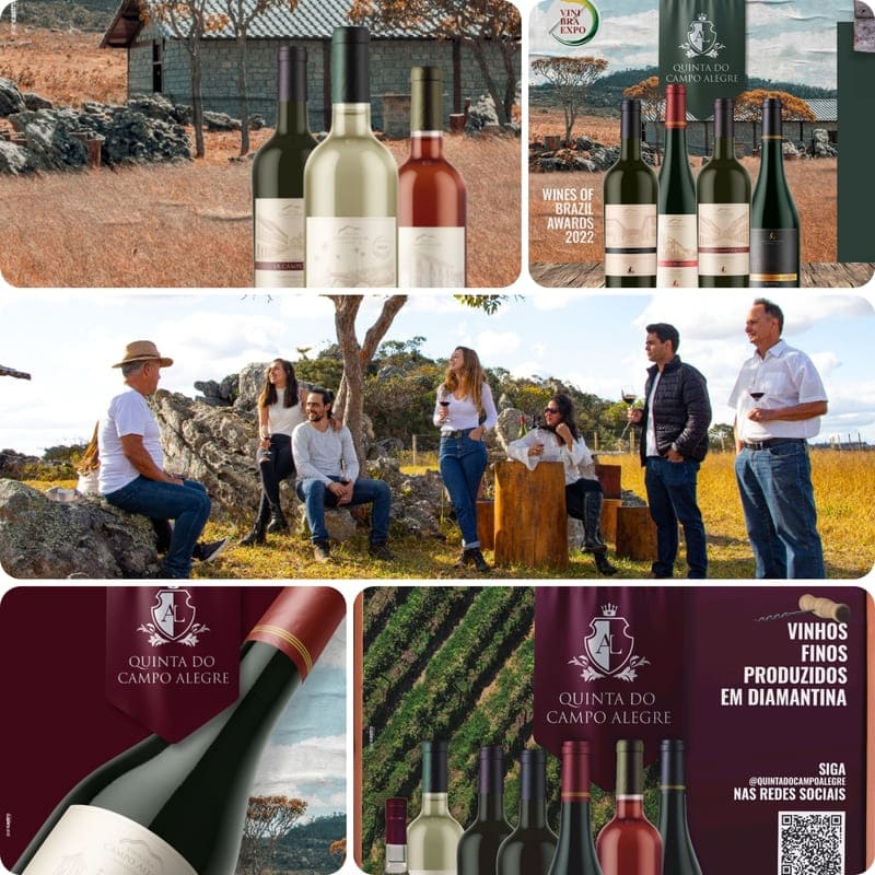 Foto mundo del vino