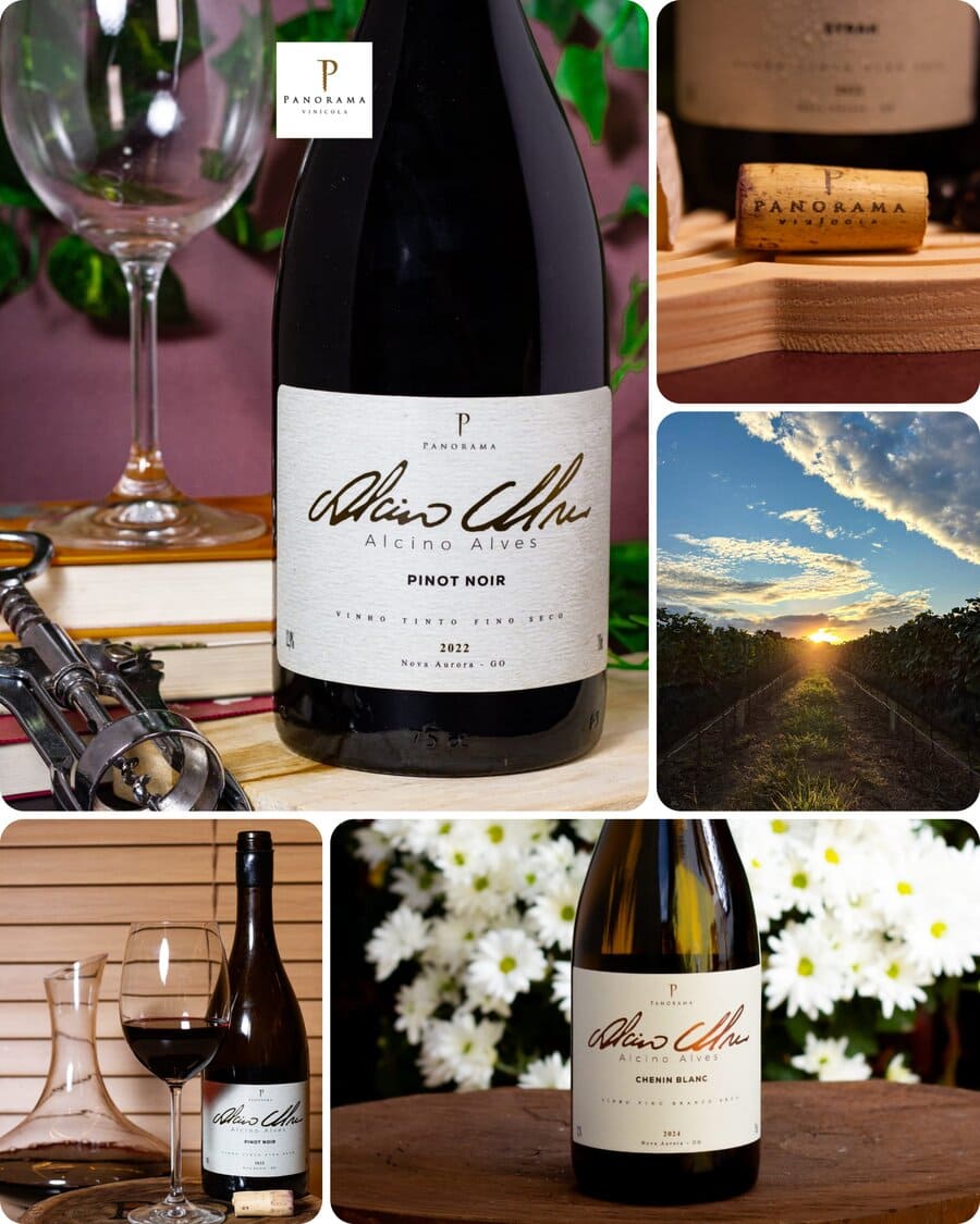 Vinhos Premiados da Vinícola Panorama.