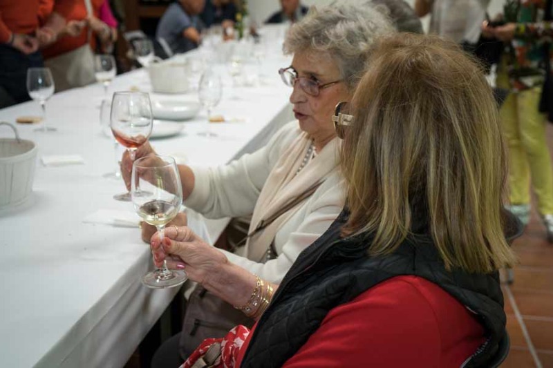 Foto mundo del vino