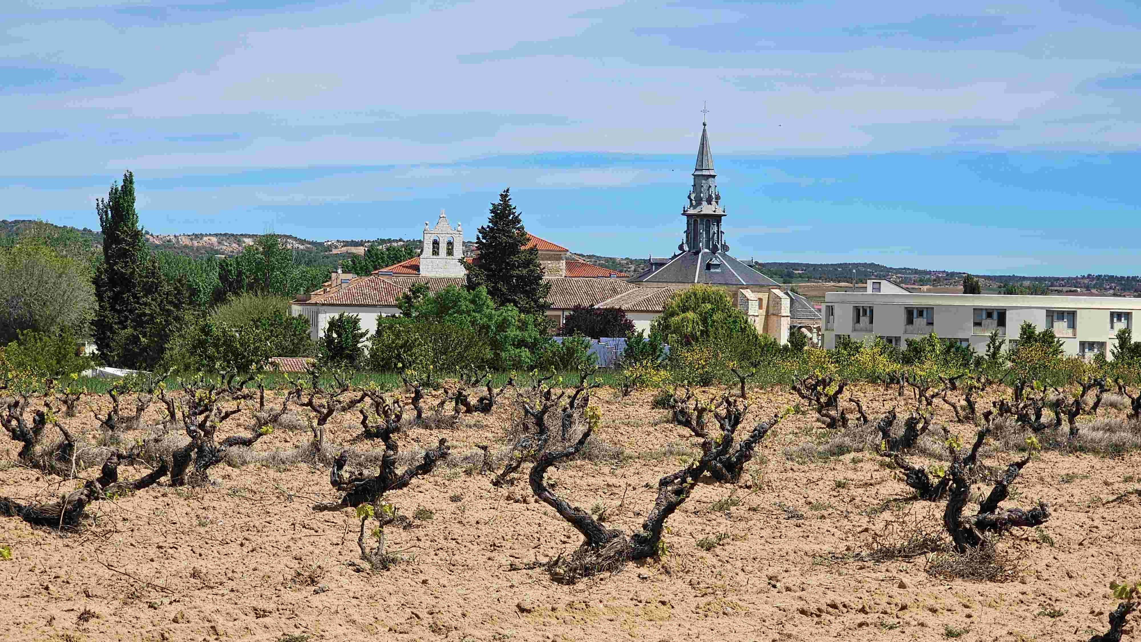 Abadía San Quirce, testigo de la historia vitícola de Ribera del Duero