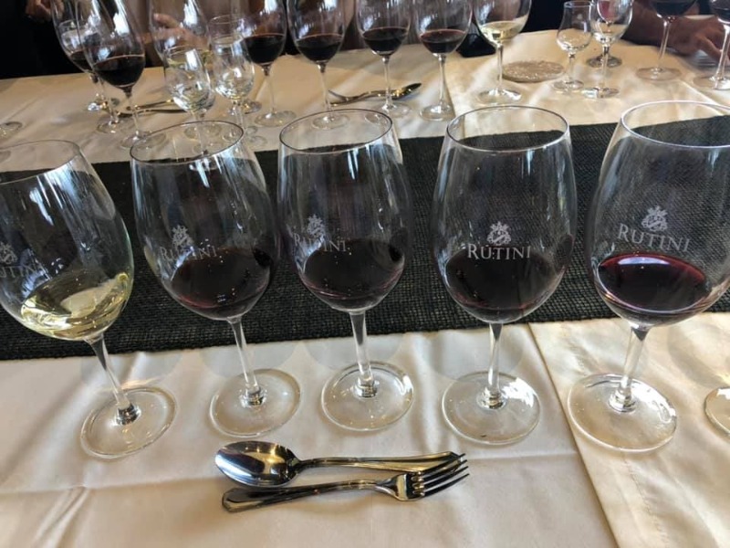 Foto mundo del vino