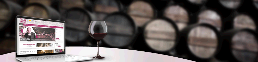 Foto mundo del vino
