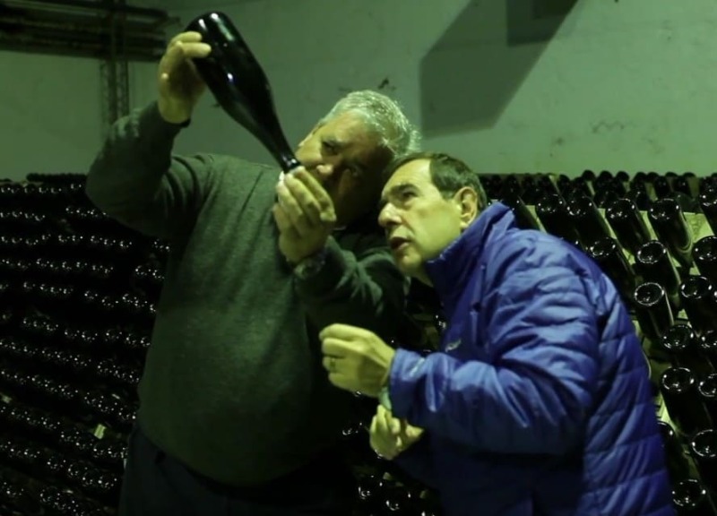 Foto mundo del vino