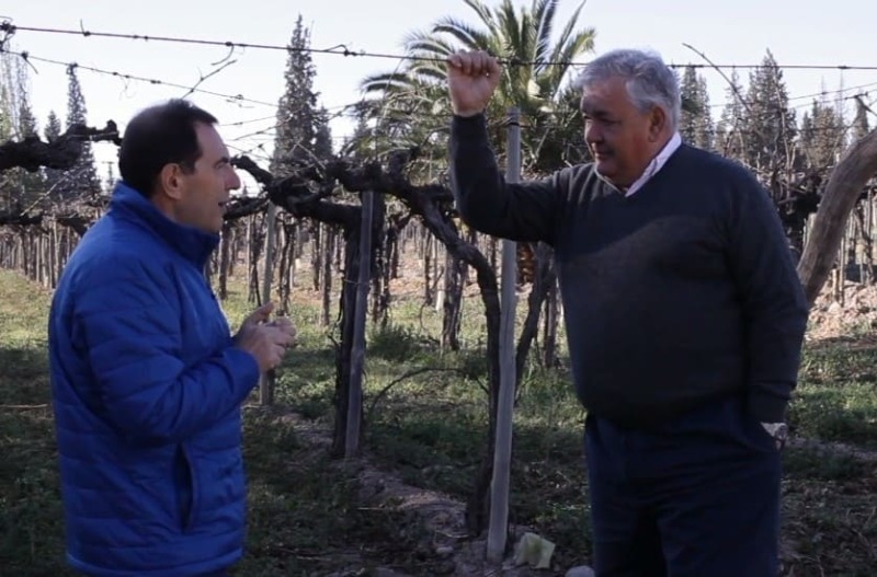 Foto mundo del vino