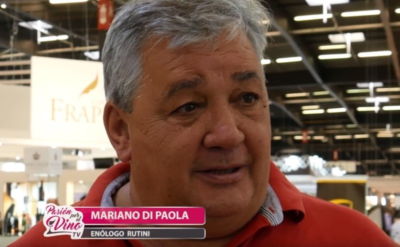 Foto mundo del vino