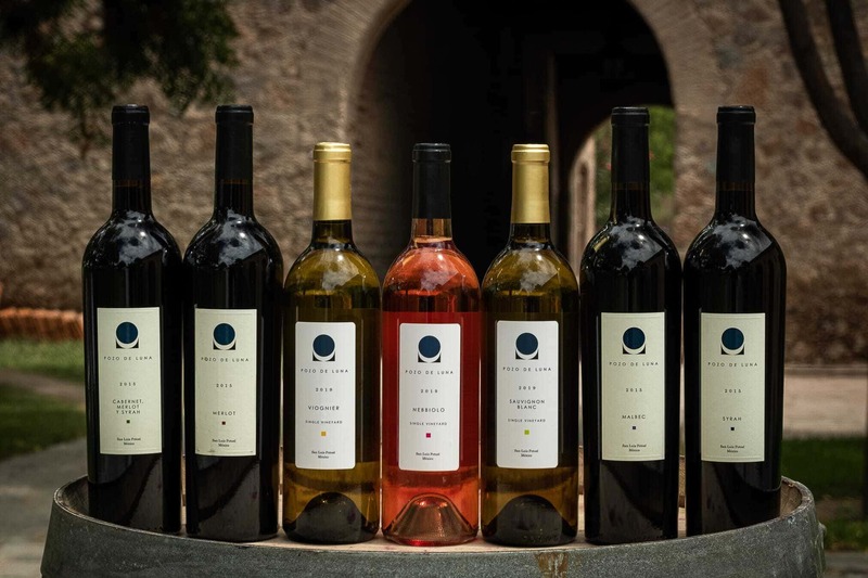 Foto mundo del vino