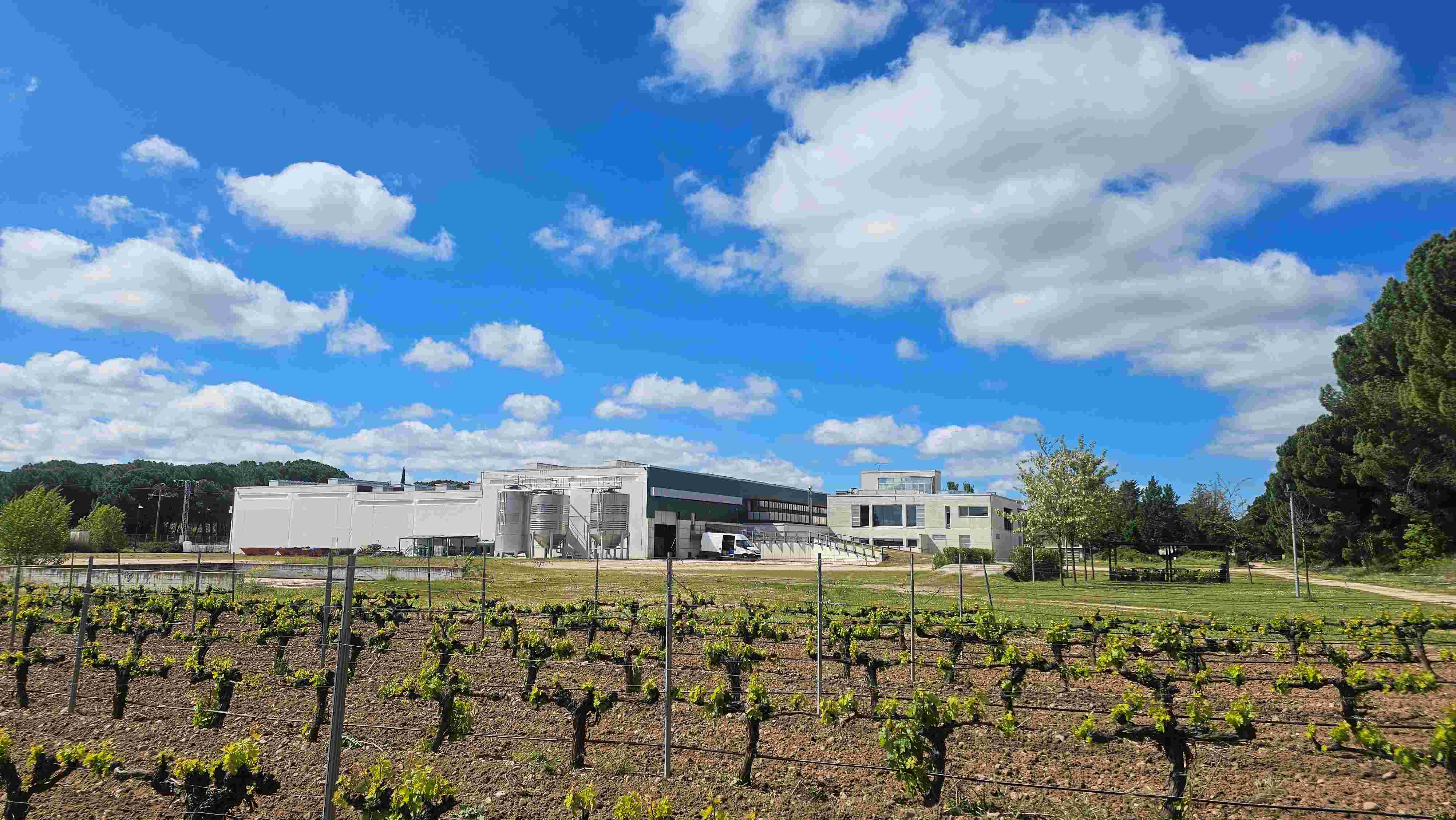 Bodegas Vizar, la belleza y excelencia de su Dehesa Peñalba