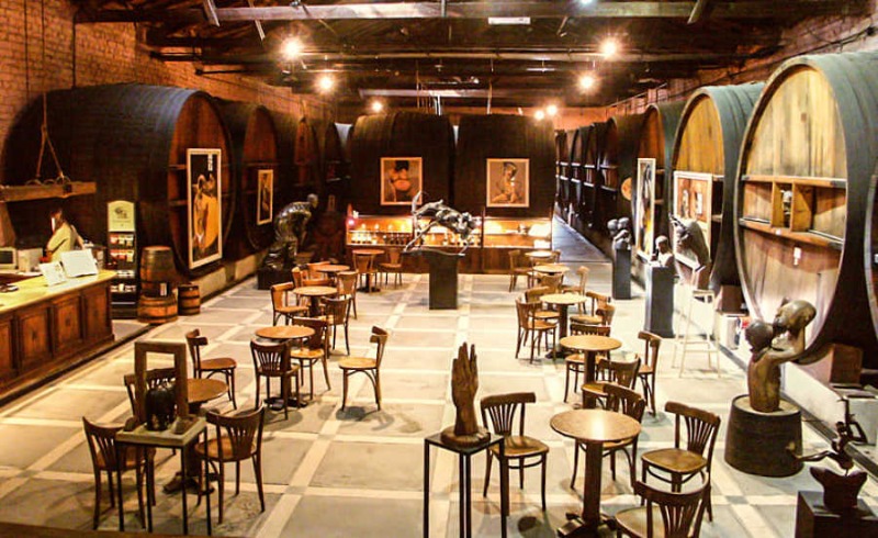 Foto mundo del vino