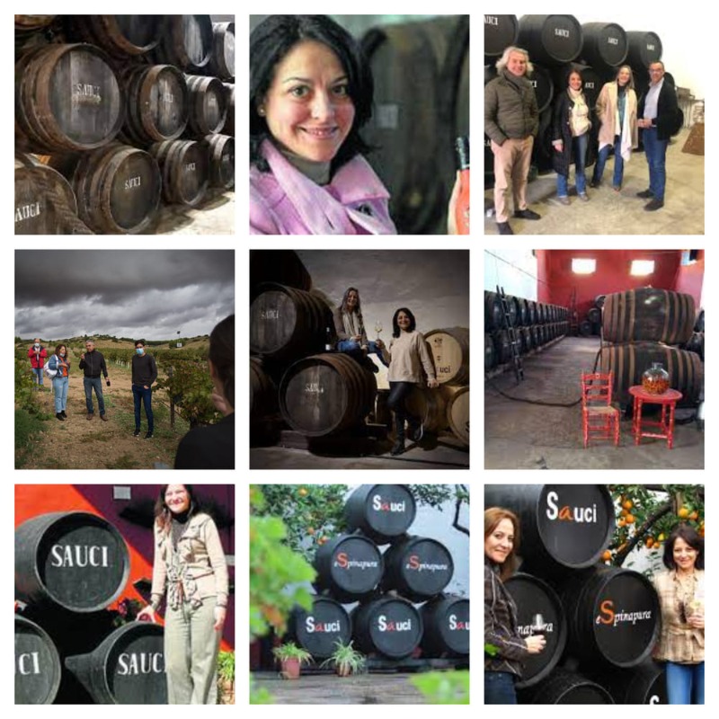 Foto mundo del vino