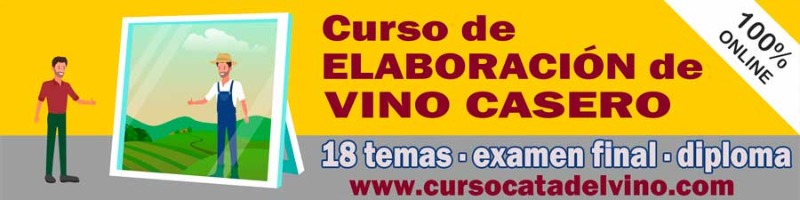 Foto mundo del vino