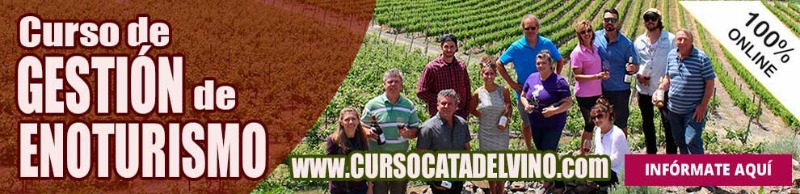 Foto mundo del vino