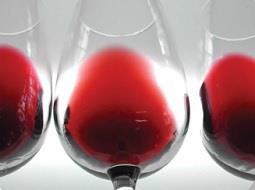 El CSIC pionero en los estudios de polifenoles del vino.