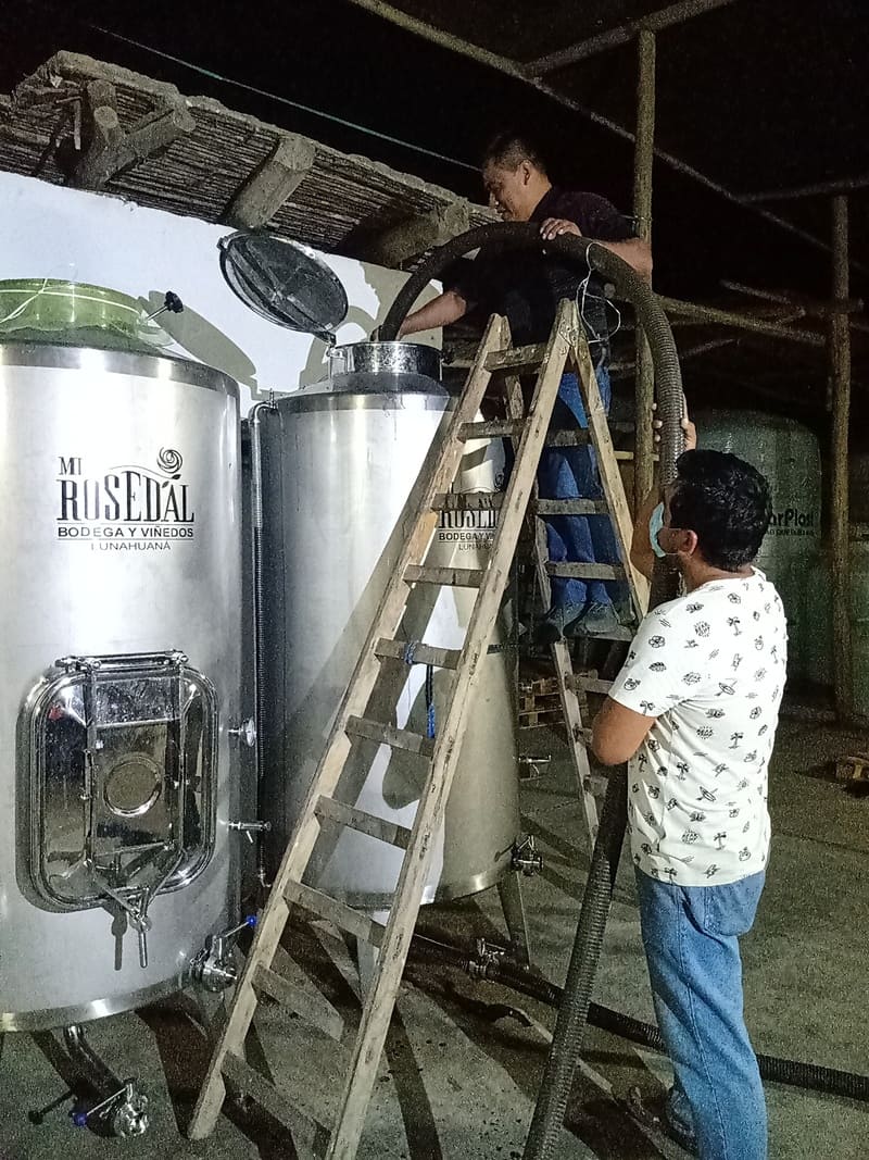Foto mundo del vino