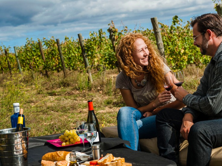 Foto mundo del vino