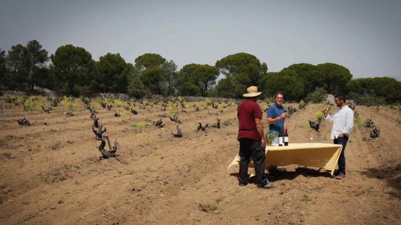 Foto mundo del vino