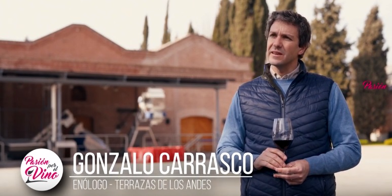 gonzalo carrasco enologo