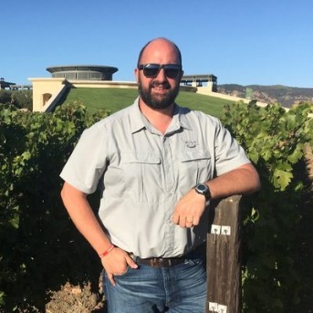 Foto mundo del vino